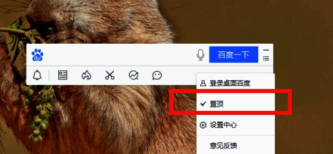 桌面百度置顶选项勾选状态展示，界面显示已成功置顶