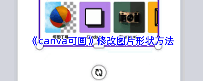 Canva可画圆形图片设置步骤示意图，界面显示图片已适配圆形框架
