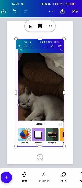 Canva可画电脑端操作界面，显示图片裁剪为圆形的具体步骤