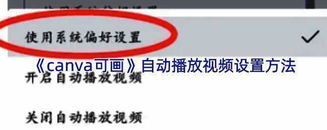 Canva可画操作界面展示，包含设置选项和功能按钮的完整布局