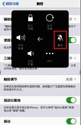 设备设置界面展示，静音按钮已被点击，手机进入静音状态