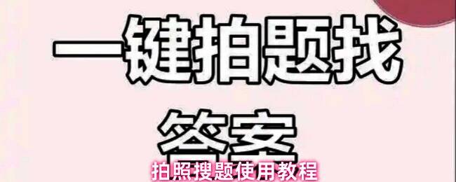拍照搜题软件首页界面展示，界面清晰，功能分类明确