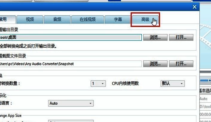 高级设置页面截图，突出显示“高级”标签位置及可选功能列表