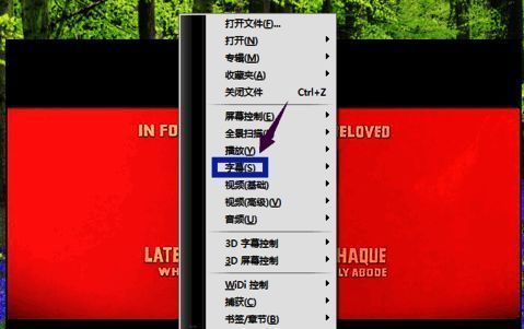 右键菜单展开状态，清晰显示字幕功能入口
