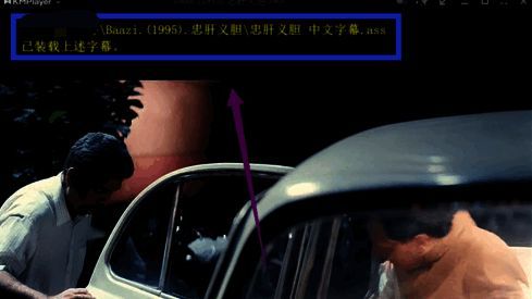 视频播放画面底部成功显示字幕文本，字体清晰易读