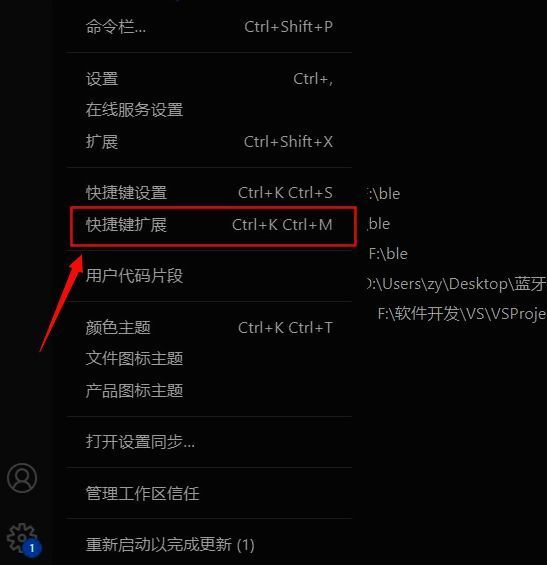 VSCode侧边栏显示扩展面板，搜索框位于顶部，下方列出多个推荐插件