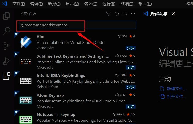 VSCode扩展搜索栏中输入@recommended:keymaps，下方展示多个IDE风格的快捷键映射插件