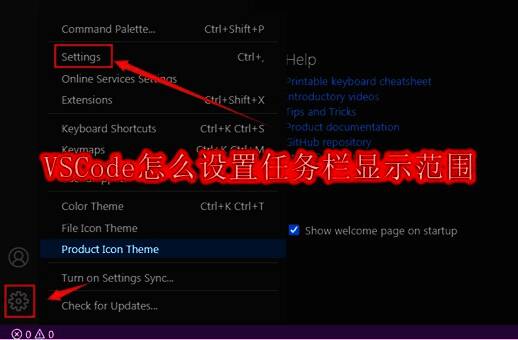 VSCode主界面左下角齿轮图标位置示意图，用于进入设置菜单