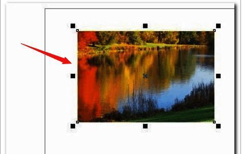 CorelDRAW中已成功导入一张风景图片，图片位于画布中央，周围有选择框