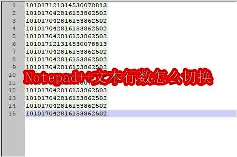 Notepad++主界面展示，左侧为文件列表，右侧为代码编辑区域，界面清晰简洁