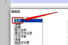 首选项窗口左侧选中‘常用’选项，右侧显示相关设置项
