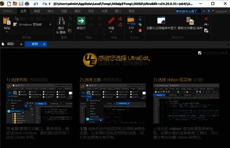 Ultra Edit初始设置界面，展示布局、主题和界面模式选择选项