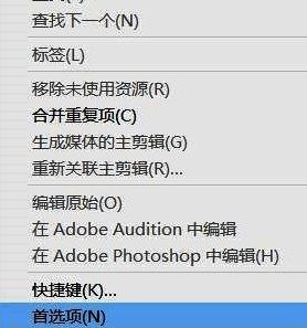 首选项窗口中外观设置选项被高亮显示，左侧为设置分类列表，右侧为亮度调节滑块