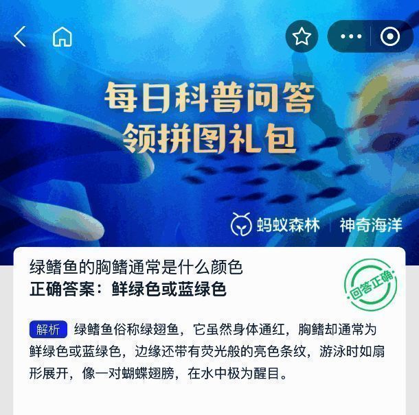 绿鳍鱼解剖示意图，标注胸鳍位置及鲜绿色特征