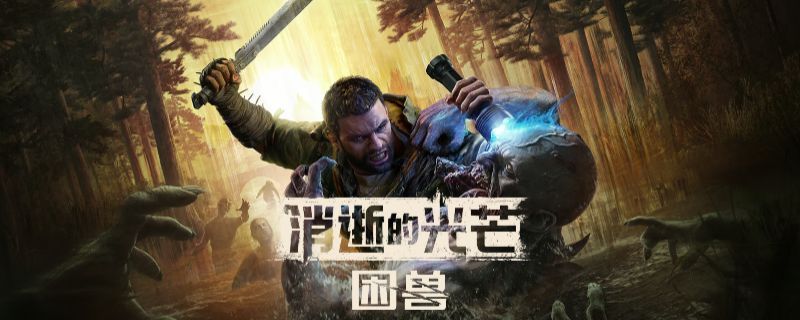 《消逝的光芒：困兽》游戏内武器兑换界面截图，显示玩家正在输入CDK码进行兑换操作