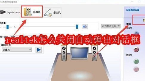 Realtek音频管理器界面示意图，展示软件主界面布局