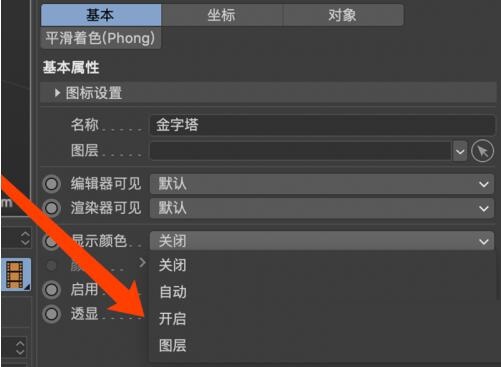 C4D属性面板特写，‘显示颜色’选项被勾选，下方颜色拾取器区域呈灰色未激活状态