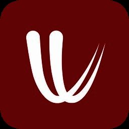 windy V43.000303