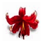 金佛创新手机考勤系统v1.01