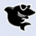 黑鲨装机大师最新版