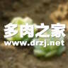 多肉之家 V1.9.0