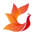 影视工场 TV版 V2.1.8