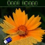 neat image8.5.2