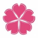 樱花动漫在线观看动漫 V1.2