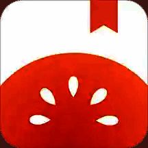 番茄小说 手表版apk V3.4.5.32