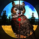 3D猫头鹰狩猎模拟 手机版 V1.0