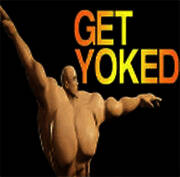 健身模拟器 汉化版 V5.8