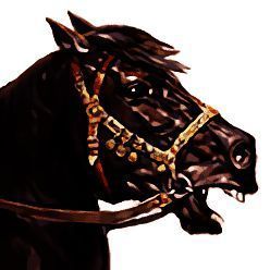 骑马与砍杀 免费版 V1.071