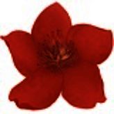 小红花直播音效助手官网版