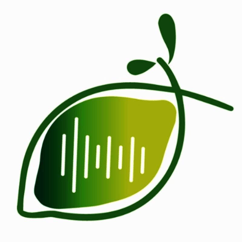 柠檬看看 V1.3.3