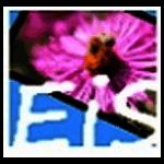 EasyImageSizerv2.1.5