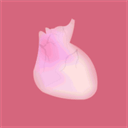 生命life 医学人体模拟器 V1.0