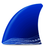 Wireshark Mac版3.4.10