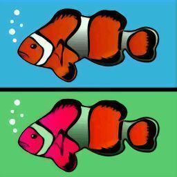 经典找茬齐游版 V2022.11.29