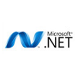 Microsoft .NET Framework4.8.1.0